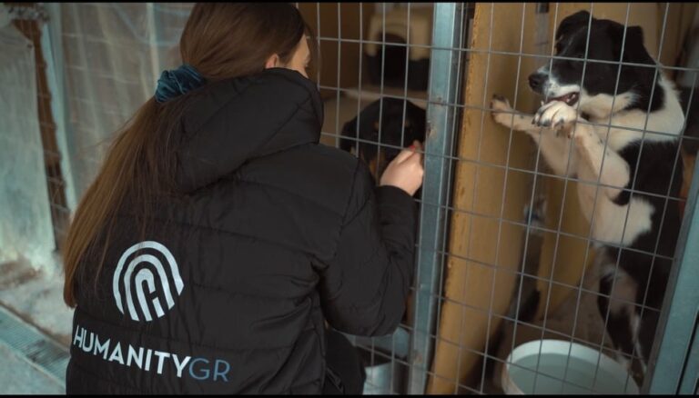 277614897 4760667757363858 1852503457080526067 n