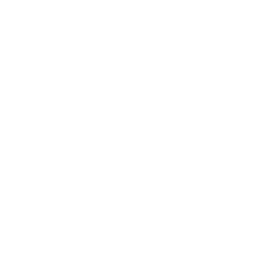 Paragon Logo Cropped White