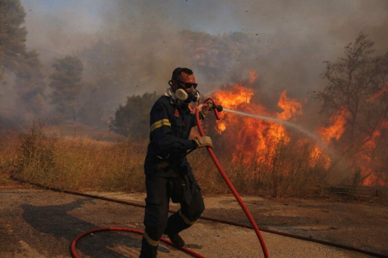 2024-08-12T093037Z_560845230_RC27E9AJQVH9_RTRMADP_5_EUROPE-WEATHER-GREECE-WILDFIRE-1024x682-1